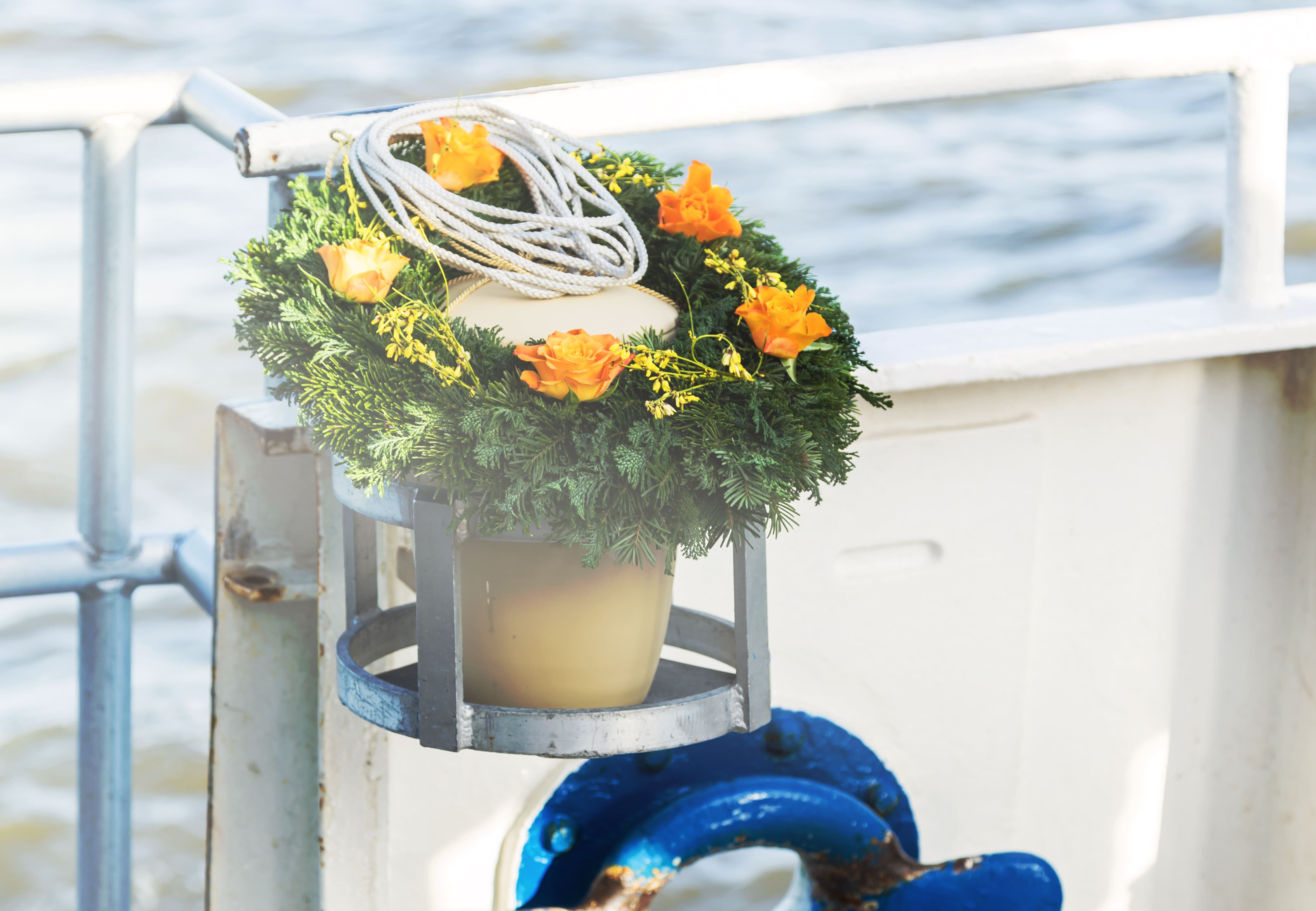 AdobeStock_220356818.jpeg